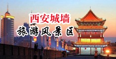 啊啊啊啊啊好大好爽视频中国陕西-西安城墙旅游风景区