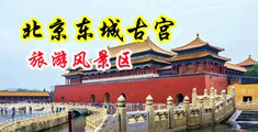 大鸡吧尻死你中国北京-东城古宫旅游风景区